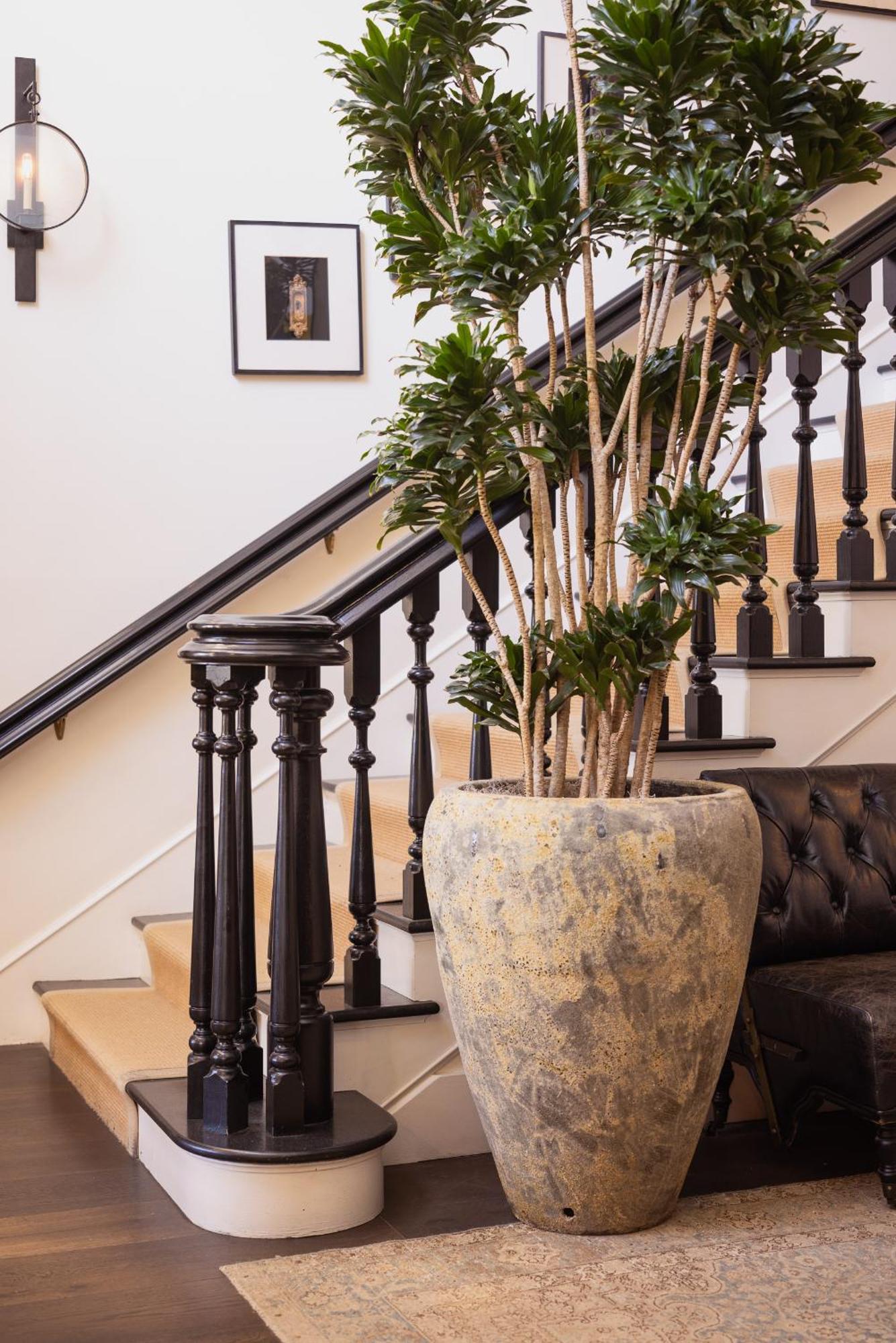 The Ballard Inn, A Kirkwood Collection Hotel Экстерьер фото